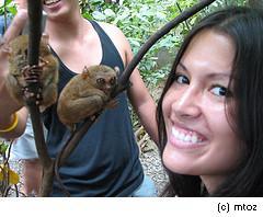 Tarsier Foundation Bohol, Koboldmakis