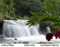 Tontonan Wasserfall am Loboc River Bohol Philippinen