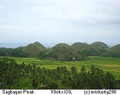 Shocolate Hills - Blick vom Sagbayan Peak Bohol Philippinen